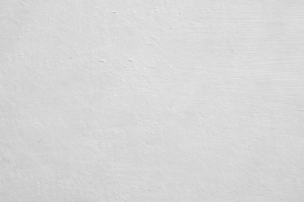 Best Mold Odor Removal Services  in Cape Carteret, NC